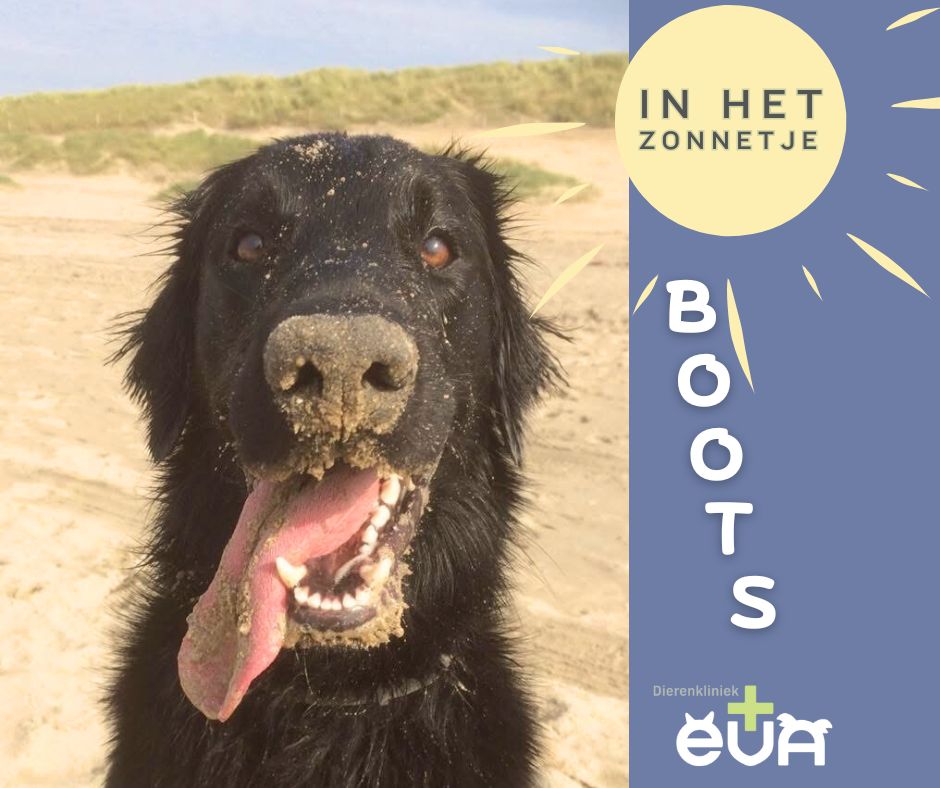 Patiënt in het Zonnetje: BOOTS