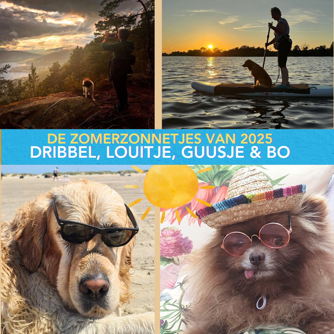 In ’t Zonnetje: Dribbel, Louitje, Guusje & Bo